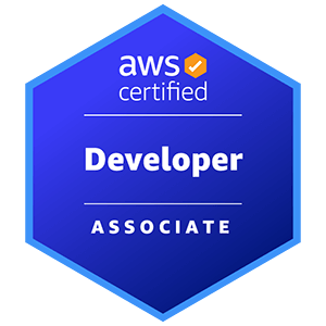 Solutions Architect Associate image